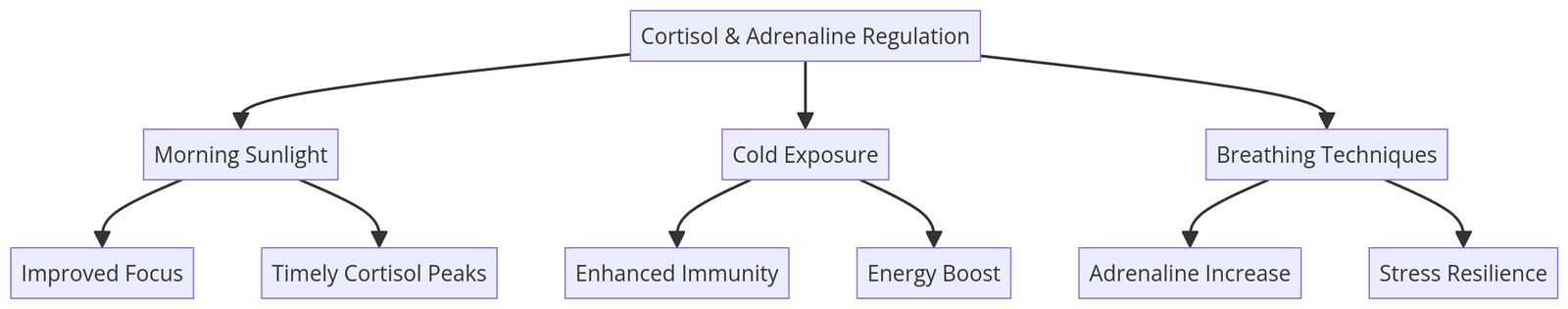 Telepsychiatry stress management provides a convenient solution for balancing cortisol and adrenaline. Through East Coast virtual mental health care, patients gain access to licensed <a href='https://www.eastcoasttelepsychiatry.com/online-mental-health-consultations-a-focus-on-the-new-modality/'>online psychiatrists who specialize in hormonal health</a> and chronic stress relief. With a focus on natural techniques to reduce cortisol, including mindfulness and the role of adaptogens, ECT offers personalized strategies to improve energy and immunity. These telehealth solutions are perfect for those seeking virtual mental health treatments tailored to their needs.” class=”wp-image-5525 alignnone size-full” /></p><h2>Addressing Chronic Stress with ECT</h2><p>Chronic stress elevates cortisol and adrenaline, which can impact mental health by suppressing reproductive hormones, weakening immunity, and impairing cognitive function. ECT provides virtual psychiatry <a href='https://www.eastcoasttelepsychiatry.com/advantages-of-telehealth-services-how-to-manage-depression-now/'>services to help manage</a> stress through evidence-based techniques such as:</p><ul><li><strong>Mindfulness Practices:</strong> Learn to calm overactive stress responses through guided meditation and therapy.</li><li><strong>Lifestyle Modifications:</strong> Get expert advice on incorporating activities like yoga, warm baths, and adaptogens to promote recovery.</li><li><strong>Medication Management:</strong> If needed, licensed psychiatrists at ECT can prescribe and monitor medications to address hormonal imbalances and stress-related conditions.</li></ul><p><div id=