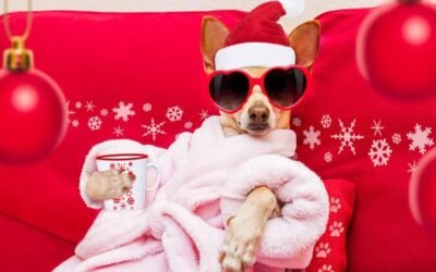 Holiday Mental Health Check Up: New Ways to Stay Happy!