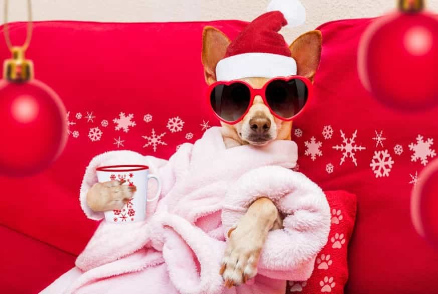 Holiday Mental Health Check Up: New Ways to Stay Happy!