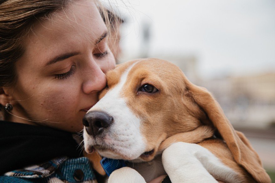 Can You Get An ESA Letter Online? Professional, Secure, Now