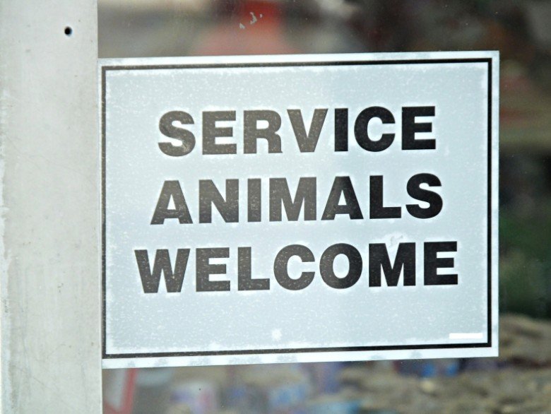 can you get an esa letter online - Service Animals Welcome - East Coast Telepsychiatry Can You Get An ESA Letter Online? Professional, Secure, Now Looking for online ESA letter services that are fast, secure, and legitimate? East Coast Telepsychiatry offers professional evaluations to help you receive a legitimate emotional support animal letter from a licensed mental health professional. With our HIPAA-compliant ESA consultation, you can rest assured that your privacy and mental health are treated with the utmost care.