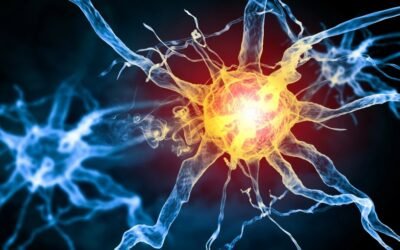 Your Vagus Nerve: What Psychiatrists Want You to Know Now