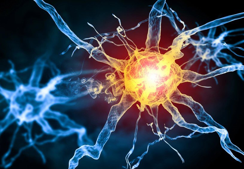 Modern psychiatric research highlights how parasympathetic nervous system regulation supports emotional stability through heart rate variability mental health indicators and gut brain axis signaling pathways. Emerging treatment resistant depression therapies now include FDA approved vagus nerve stimulation and transcutaneous vagus nerve stimulation as part of advanced psychiatric telehealth consultation strategies designed to improve autonomic nervous system balance. These approaches reflect evidence based anxiety treatment principles delivered through virtual psychiatric evaluation services informed by brain body communication pathways and ongoing clinical neuroscience depression research.